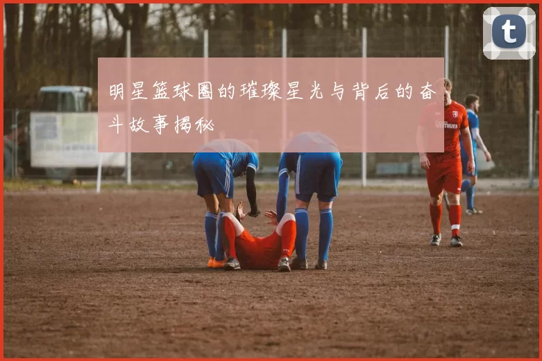 明星篮球圈的璀璨星光与背后的奋斗故事揭秘