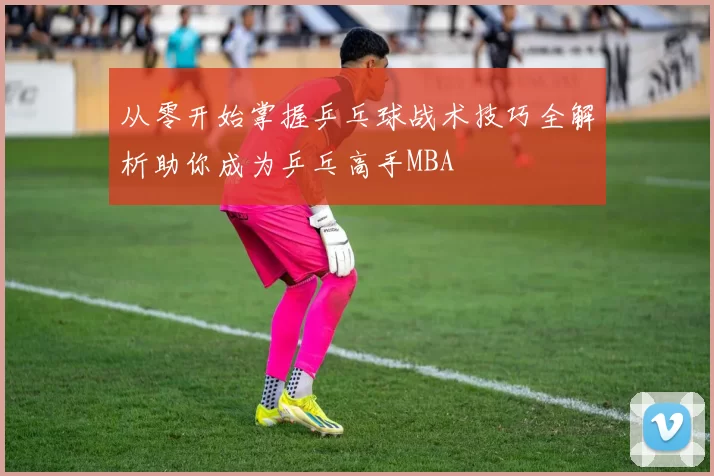 从零开始掌握乒乓球战术技巧全解析助你成为乒乓高手MBA